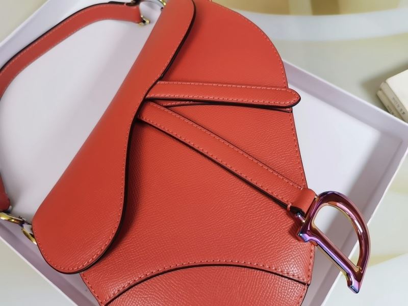 Christian Dior Saddle Bags